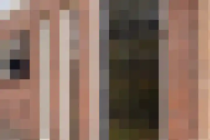 Prinses Margrietweg 6 Schalkhaar thumbnail 5
