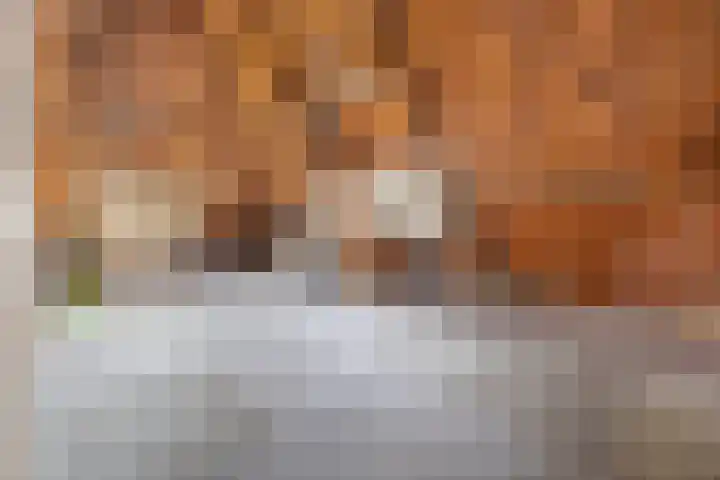 Prinses Mariannelaan 137 Voorburg thumbnail 46