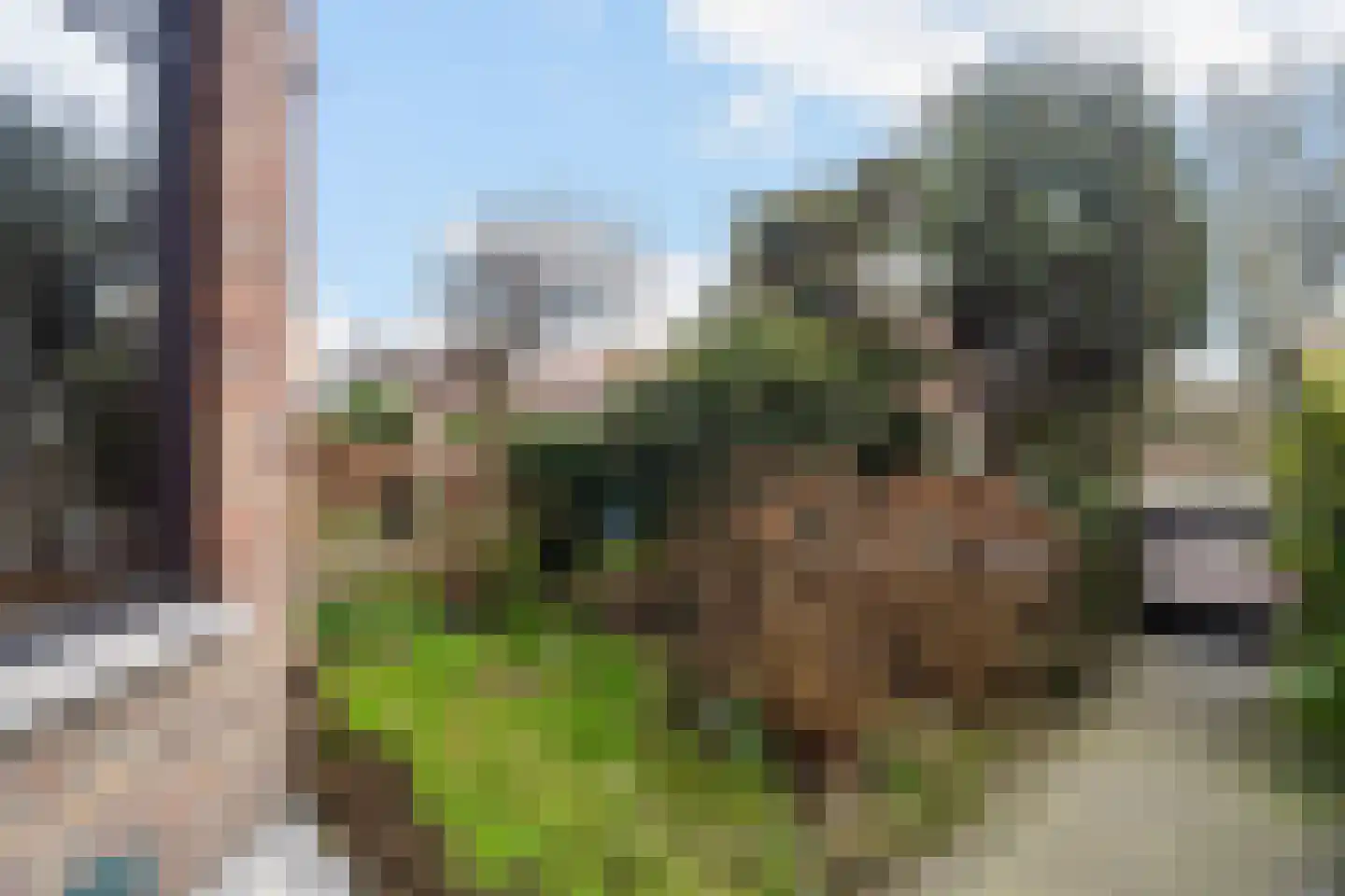 Prinses Mariannelaan 172 Voorburg thumbnail 10