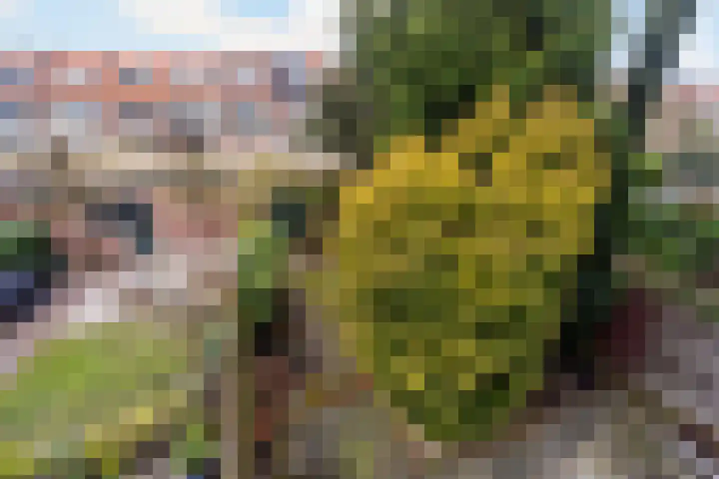 Prinses Mariannelaan 172 Voorburg thumbnail 41