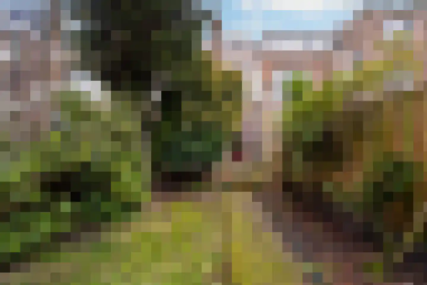 Prinses Mariannelaan 172 Voorburg thumbnail 5