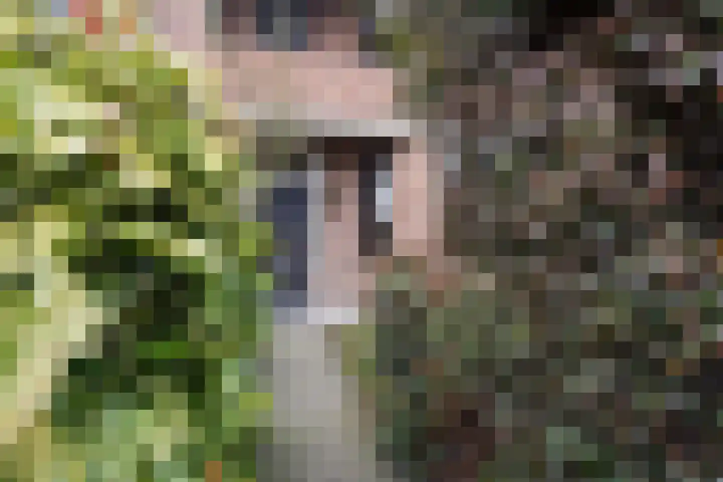 Prinses Mariannelaan 172 Voorburg thumbnail 9