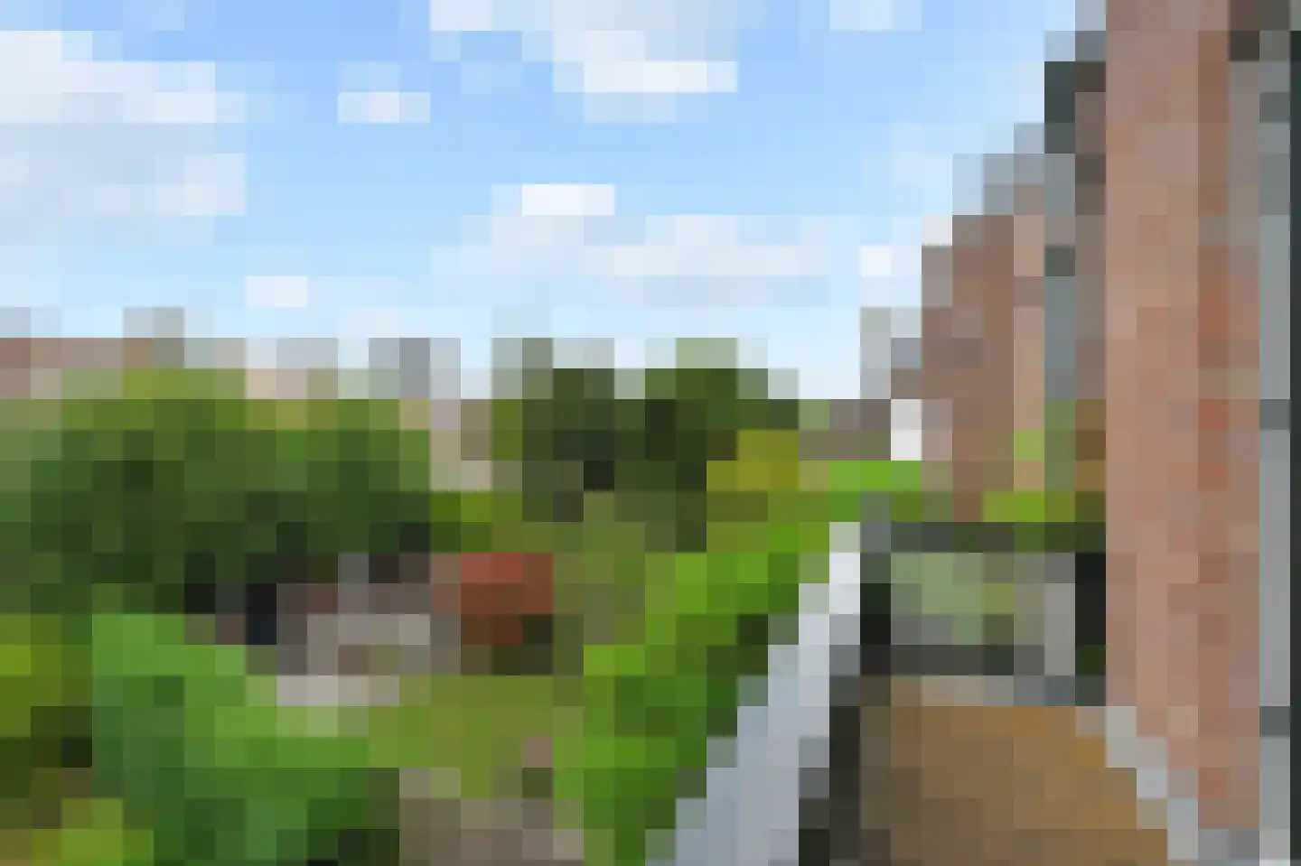 Prinses Mariannelaan 176 Voorburg thumbnail 28