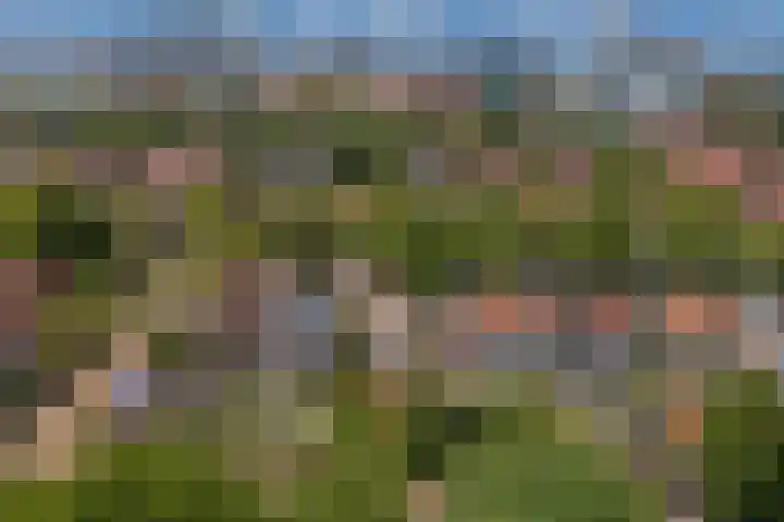 Prinses Mariannelaan 19 Voorburg thumbnail 40