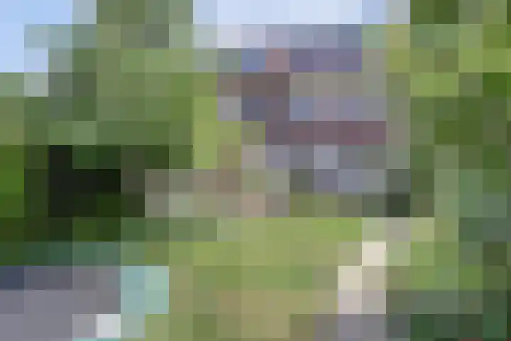 Prinses Mariannelaan 202 Voorburg thumbnail 17