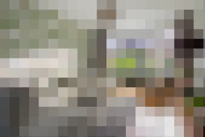 Prinses Mariannelaan 234 Voorburg thumbnail 10