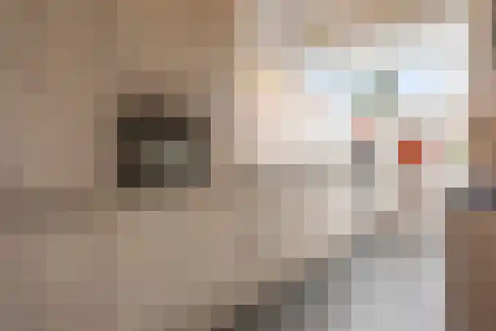 Prinses Mariannelaan 234 Voorburg thumbnail 25