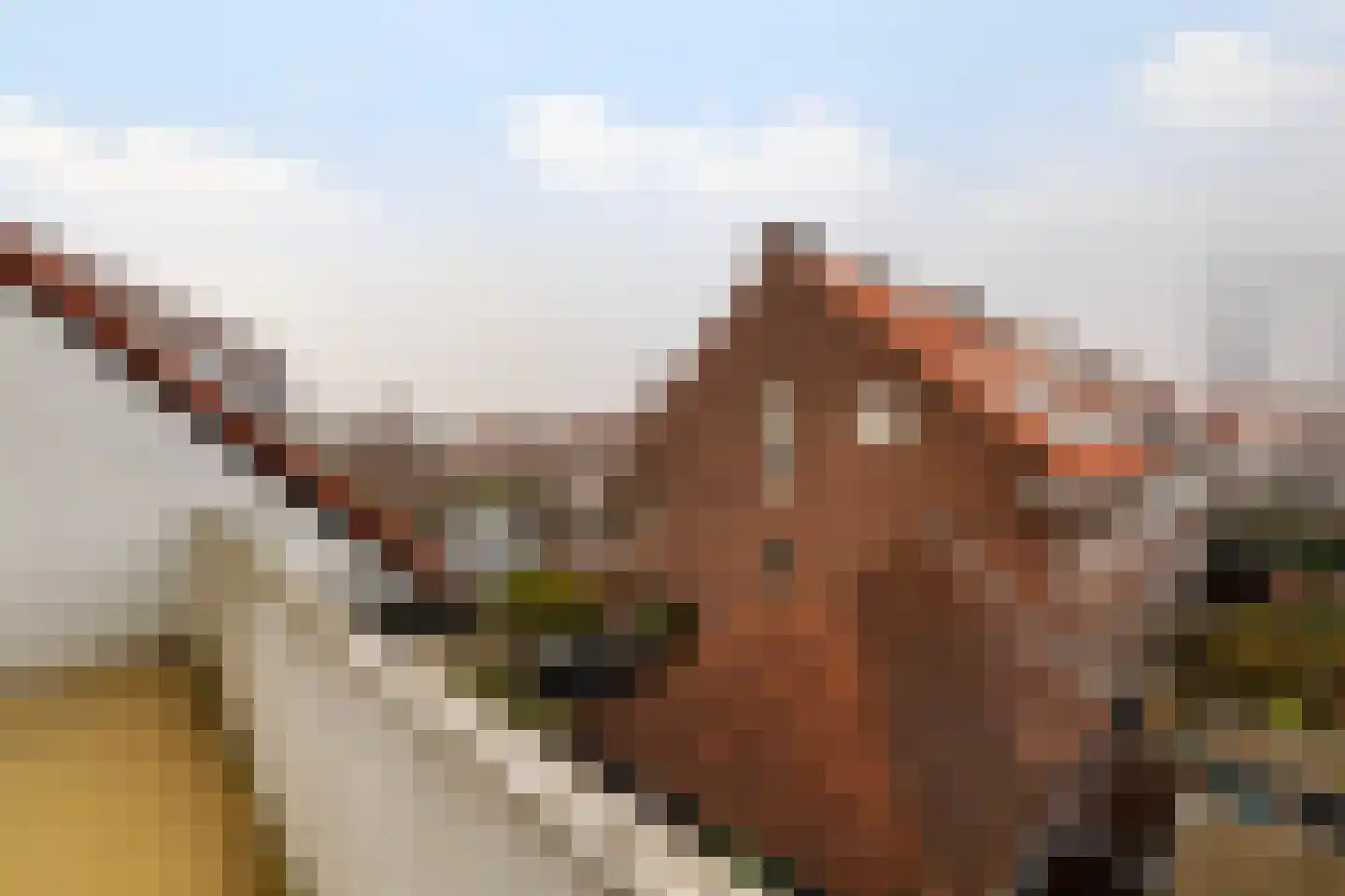Prinses Mariannelaan 30 Voorburg thumbnail 53