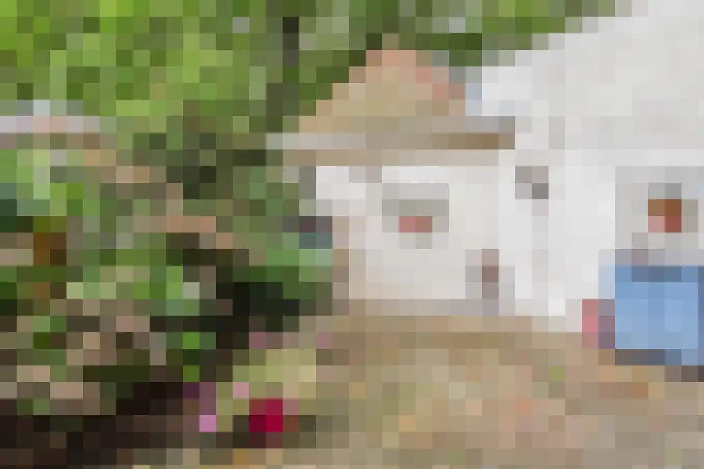 Prinses Mariannelaan 69 Voorburg thumbnail 28