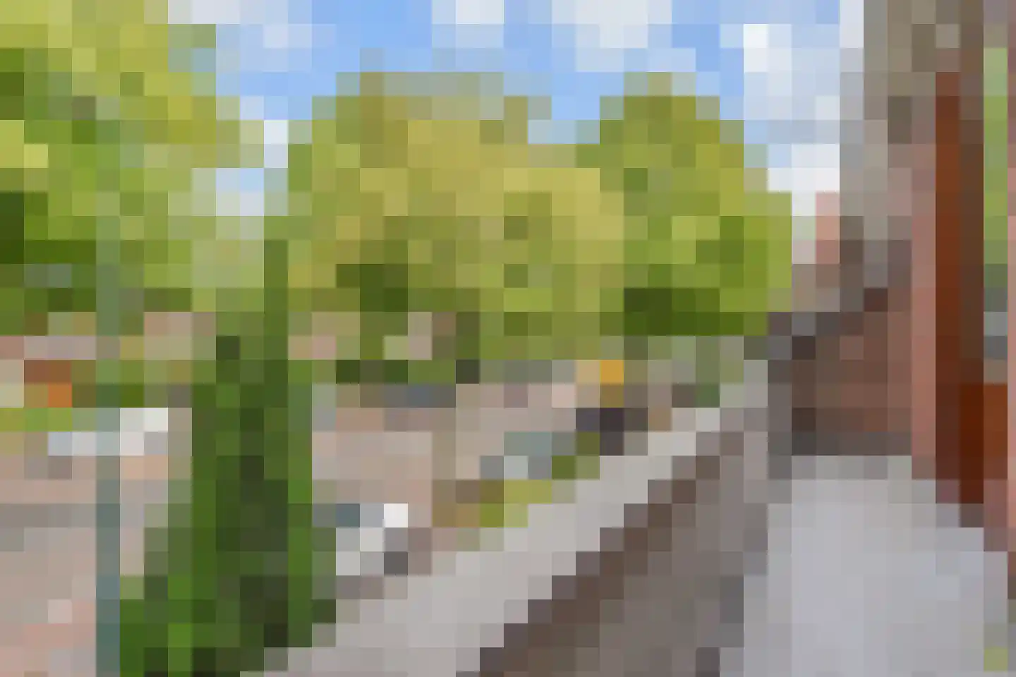 Prinses Mariannelaan 69 Voorburg thumbnail 41
