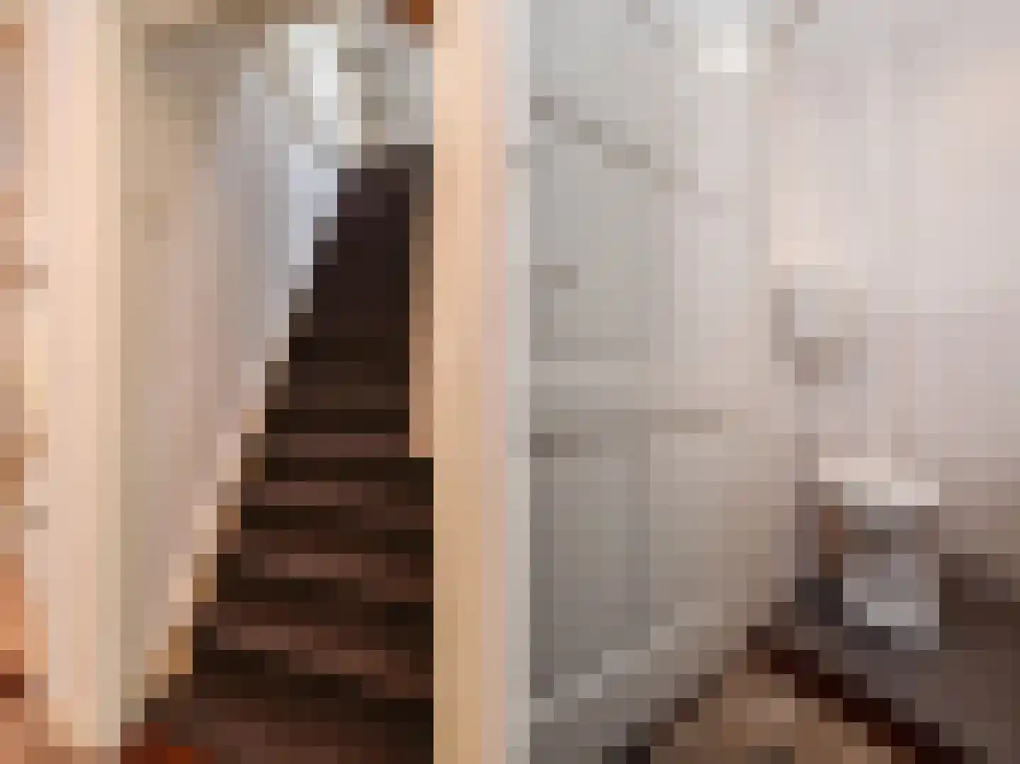 Prinses Mariannelaan 69 Voorburg thumbnail 46