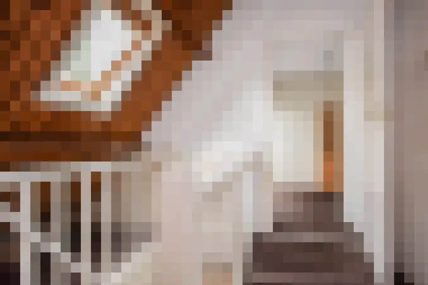 Prinses Mariannelaan 69 Voorburg thumbnail 50