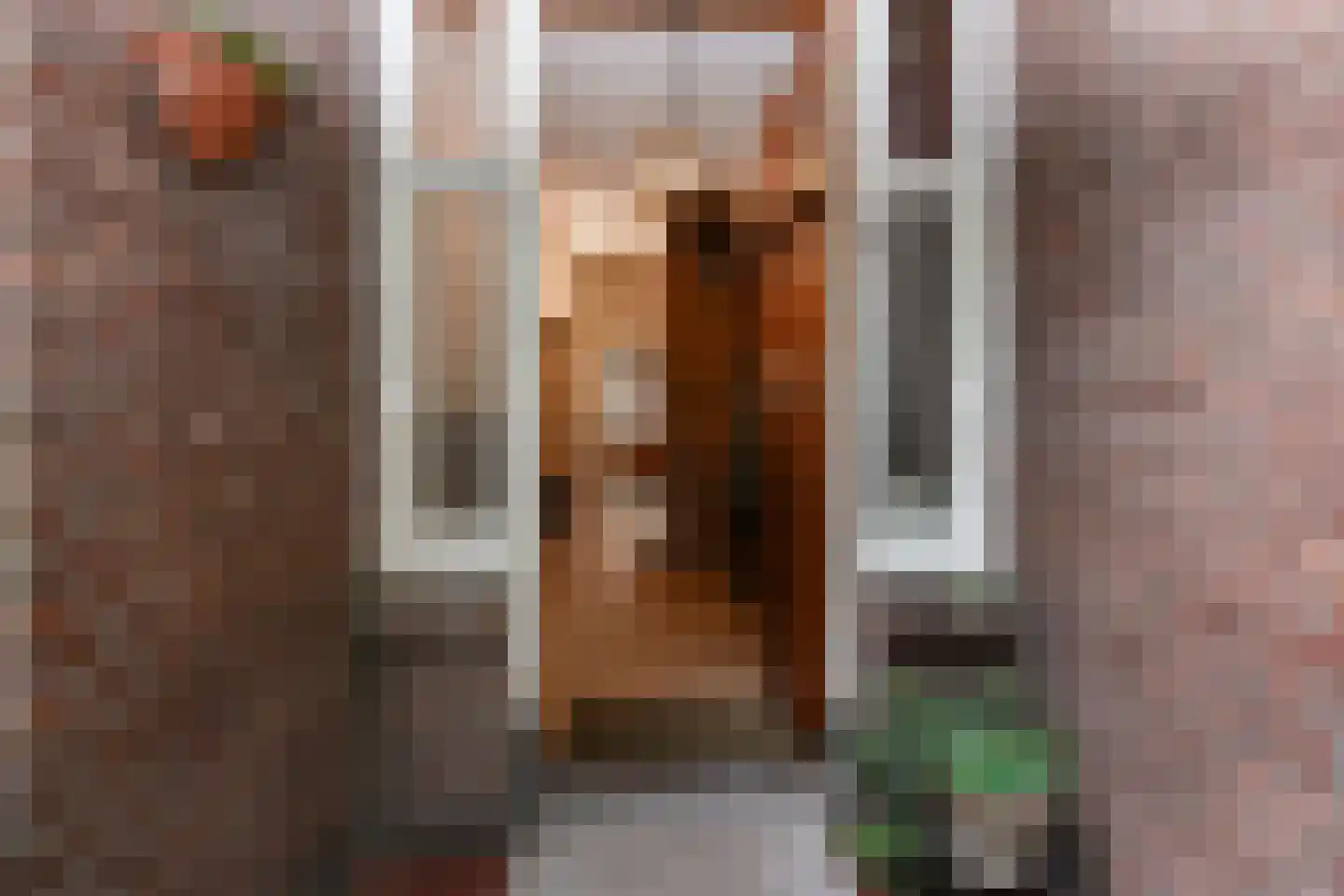 Prinses Mariannelaan 69 Voorburg thumbnail 8