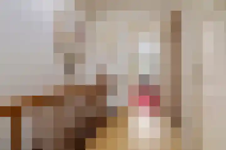 Prinses Marielaan 7 Bussum thumbnail 24
