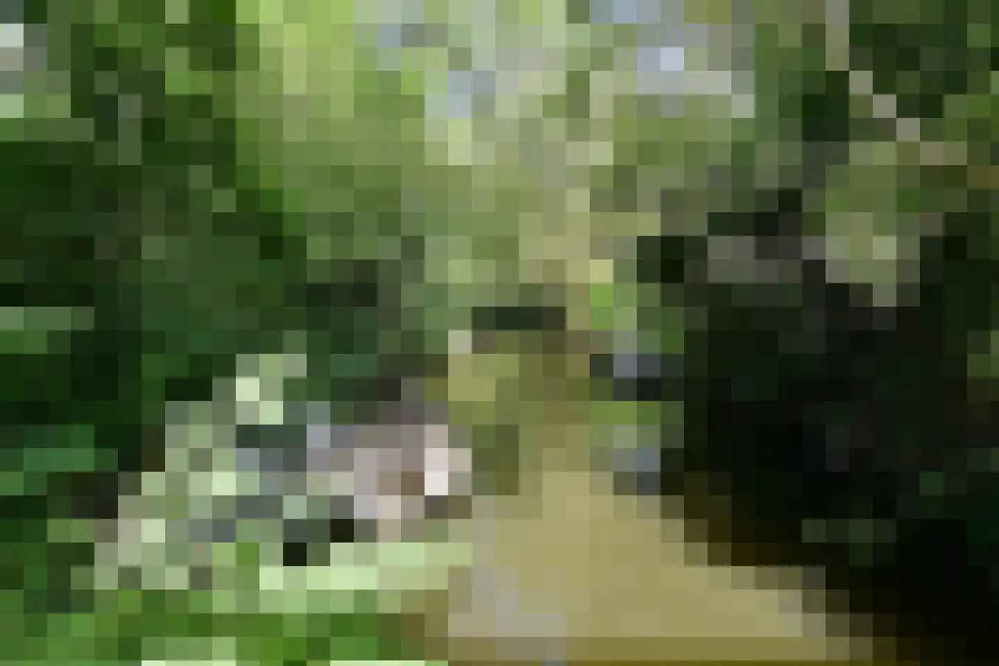 Prinses Marijkehof 31 Naarden thumbnail 21