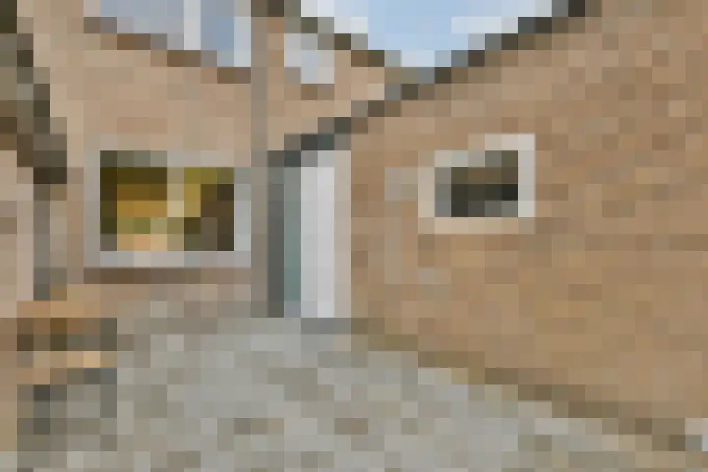 Prinses Marijkehof 88 Naarden thumbnail 33