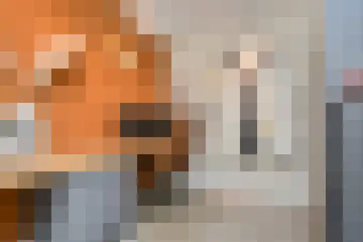 Prinses Marijkekade 38 Voorburg thumbnail 17