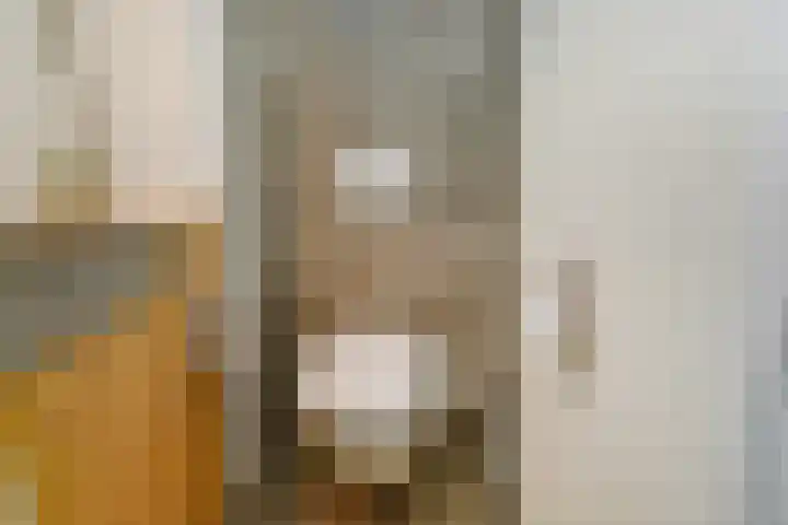 Prinses Marijkekade 38 Voorburg thumbnail 29