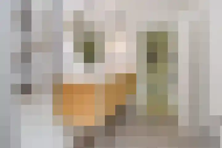 Prinses Marijkekade 38 Voorburg thumbnail 32
