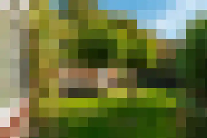 Prinses Marijkelaan 1 Driebergen-Rijsenburg thumbnail 35