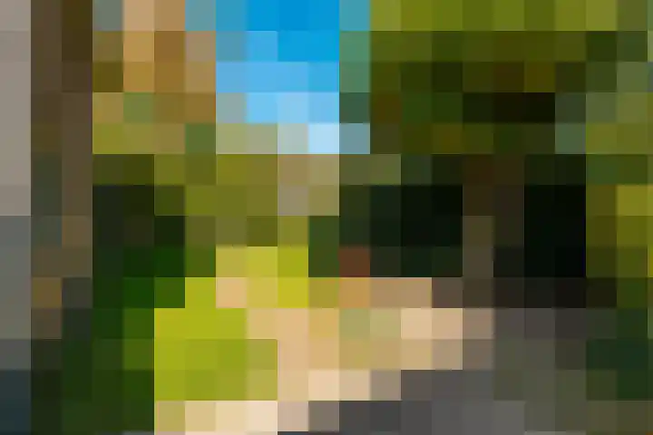 Prinses Marijkelaan 1 Driebergen-Rijsenburg thumbnail 37