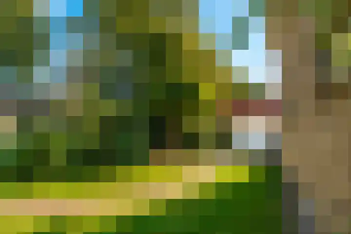 Prinses Marijkelaan 1 Driebergen-Rijsenburg thumbnail 38