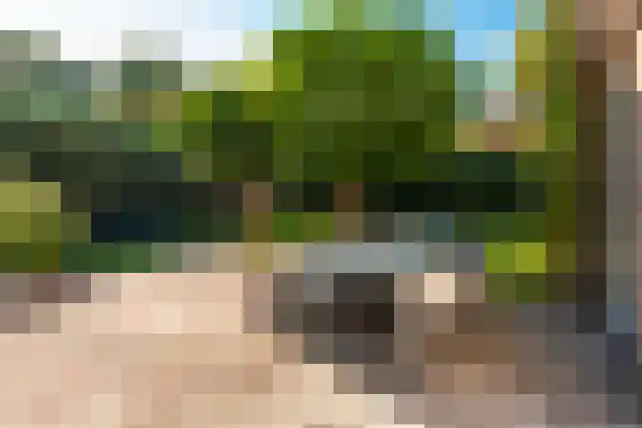 Prinses Marijkelaan 1 Driebergen-Rijsenburg thumbnail 39