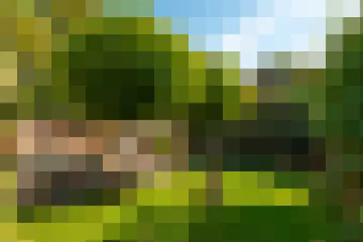 Prinses Marijkelaan 1 Driebergen-Rijsenburg thumbnail 4