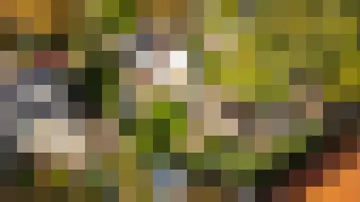 Prinses Marijkelaan 1 Driebergen-Rijsenburg thumbnail 41