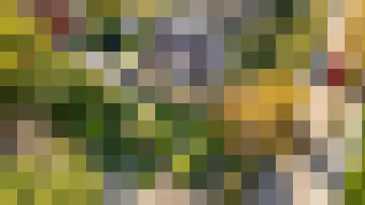 Prinses Marijkelaan 1 Driebergen-Rijsenburg thumbnail 42