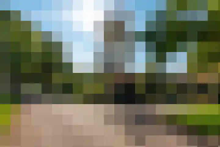 Prinses Marijkelaan 1 Driebergen-Rijsenburg thumbnail 5