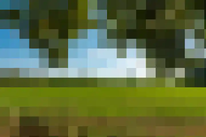 Prinses Marijkelaan 1 Driebergen-Rijsenburg thumbnail 6
