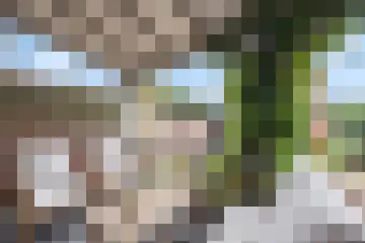 Prinses Marijkelaan 10 Leidschendam thumbnail 18