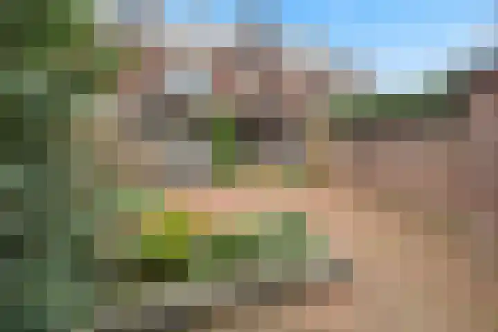 Prinses Marijkelaan 10 Leidschendam thumbnail 20
