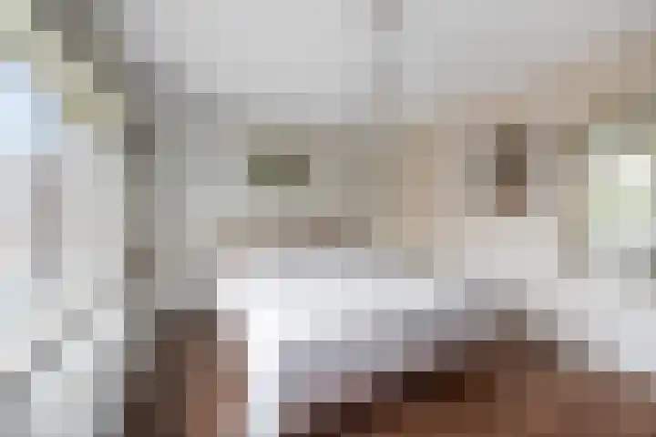 Prinses Marijkelaan 10 Leidschendam thumbnail 25
