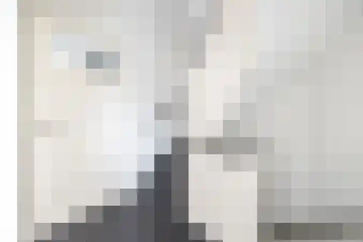 Prinses Marijkelaan 10 Leidschendam thumbnail 30
