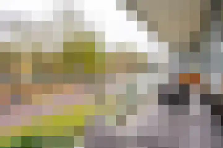 Prinses Marijkelaan 11 1 Zeist thumbnail 13