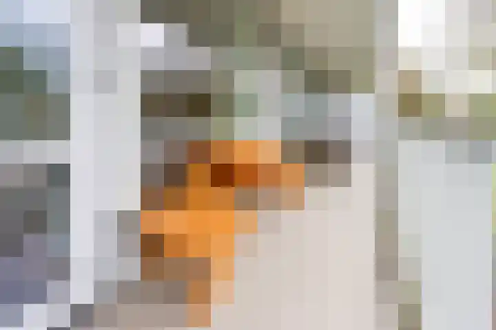 Prinses Marijkelaan 11 1 Zeist thumbnail 15