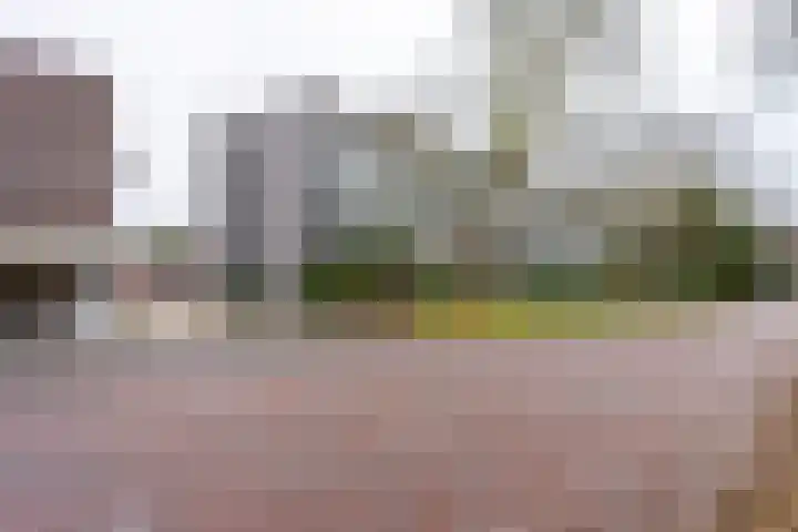 Prinses Marijkelaan 11 1 Zeist thumbnail 17