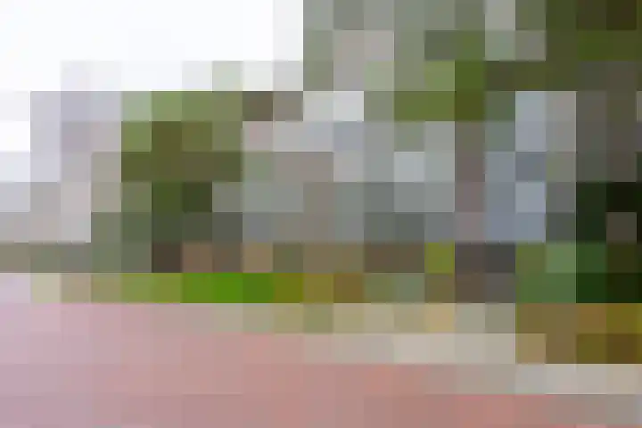 Prinses Marijkelaan 11 1 Zeist thumbnail 18