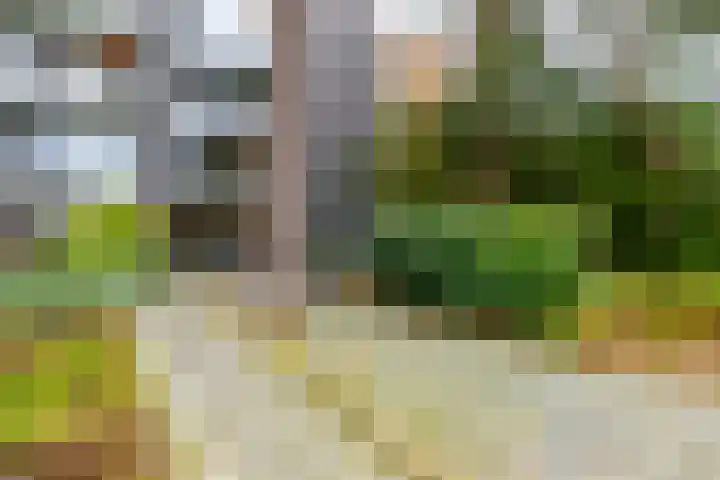 Prinses Marijkelaan 11 1 Zeist thumbnail 19
