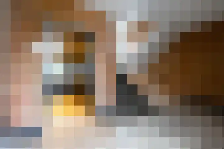Prinses Marijkelaan 11 1 Zeist thumbnail 20