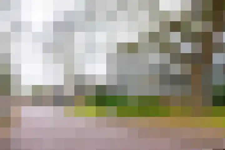 Prinses Marijkelaan 11 1 Zeist thumbnail 22
