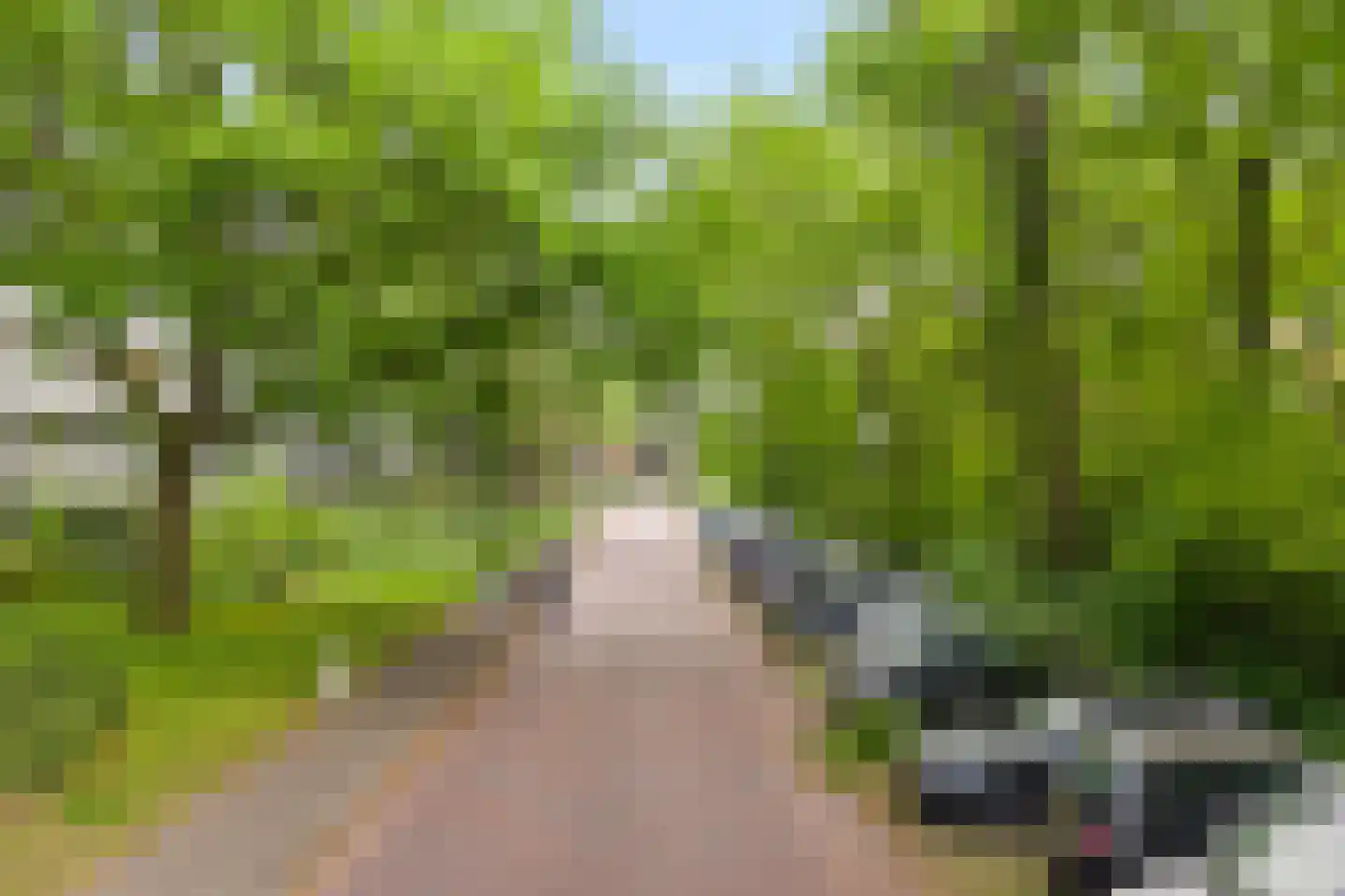 Prinses Marijkelaan 11 1 Zeist thumbnail 7