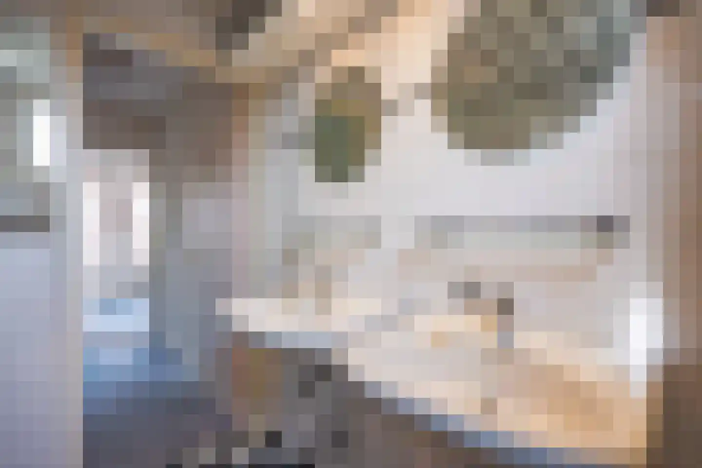 Prinses Marijkelaan 12 Leidschendam thumbnail 26