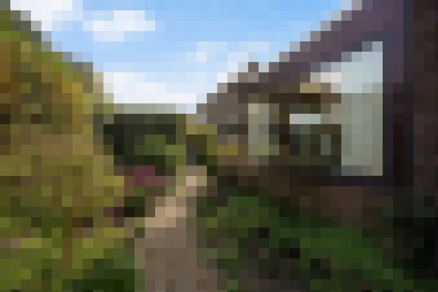Prinses Marijkelaan 12 Leidschendam thumbnail 39