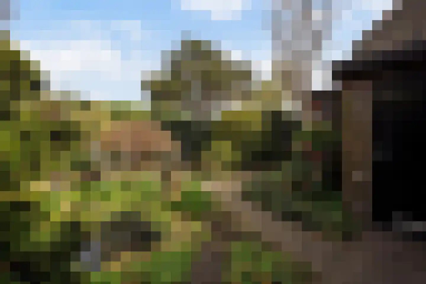 Prinses Marijkelaan 12 Leidschendam thumbnail 43
