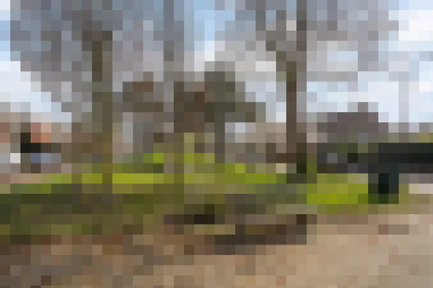 Prinses Marijkelaan 12 Leidschendam thumbnail 54