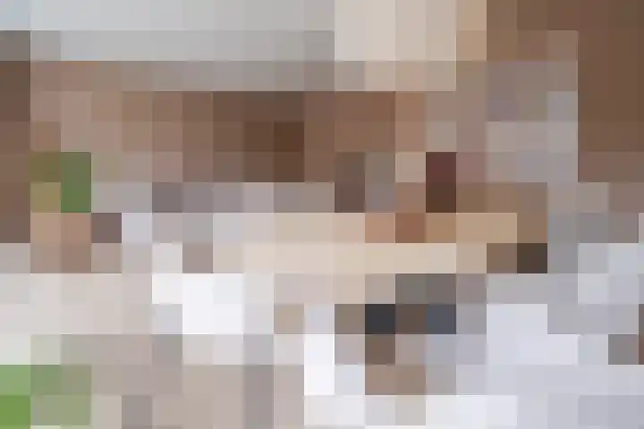 Prinses Marijkelaan 13 1 Zeist thumbnail 13