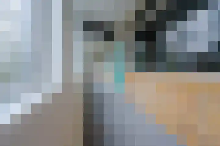 Prinses Marijkelaan 13 1 Zeist thumbnail 23